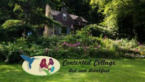 Read more about the article Contented Cottage B&B Opens its Doors in Northfield